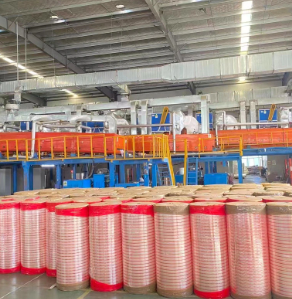 Zhejiang Baiyi Adhesive Products Co., Ltd.